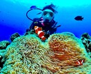 どんな海外旅行の不安も解消します 学生・初海外OK｜英語＆トラブル対策込み イメージ6