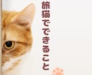 旅館・ホテル★宿泊予約サイトのクチコミ返信します 元旅行会社出身のスタッフが宿の魅力が伝わる返信でサポート イメージ4