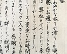 万年筆・筆、どちらでも代筆いたします 大事な方へのお手紙や宛名書き封筒、お任せください。 イメージ6