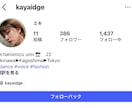 Instagram鍵垢女性垢をゆっくり増加します 1日5人ずつ10日間かけて段階的に増加｜30日間補償 イメージ4