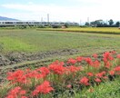 鉄道写真撮影相談に乗ります 鉄道写真の撮り方,撮影地等の相談に乗ります イメージ2