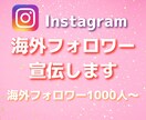 インスタグラムフォロワー宣伝サービス致します 外国人☆１０万人まで！あなたのファンを増やすプランです！ イメージ1