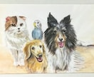 アナログでペットや風景のイラストを描きます あなたの想い出の写真を絵にして残しませんか？ イメージ2