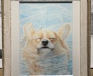 そこにいる、を感じるペットの絵を制作いたします 自宅やオフィスで癒されたい、大切な人へのプレゼントに悩む方へ イメージ3