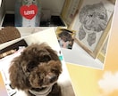 ペットの絵を三角形のみで表現して描きます ボールペンの線の密度で立体感を表現!! イメージ6