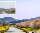 写真の加工補正致します 暗く写った、色が地味等ご相談ください。 イメージ5