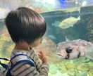 元・療育センターの保育士が、日々のモヤモヤ聴きます お子様とその関わり方について、1人で悩むことは遠回りですよ！ イメージ9