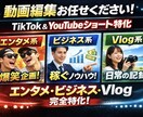 エンタメ、ビジネス、Vlog系の動画作成をします 視聴者層に合ったテンポ感のある見続けやすい動画を作成します。 イメージ1