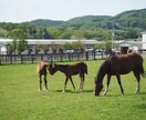 あなただけの特別な北海道旅行を約束します 〜全市町村制覇した旅好きに旅行プランを作らせてください〜 イメージ5