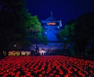 写真RAWデータレタッチします 写真のRAWデータをお送りいただければレタッチいたします。 イメージ3