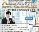 X (Twitter) を1ヶ月間、運用代行します フォロワー数＆インプ急上昇！ プロが手作業で戦略的に育てます イメージ3