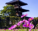 御朱印集め代行します 奈良県内の寺社は基本料金のみでOK イメージ7