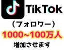 ティックトック　フォロワー1000人増加します TikTokのフォロワー最大100万人まで増加可能です イメージ1