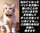 大切なペットちゃんの気持ちをお伝えします 病気や天国への導きにも対応。どんなことにも寄り添います。 イメージ4