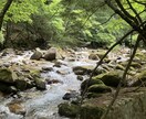 愚痴やモヤモヤをやさしくお聞きします 否定せず、気持ちを大切に受け止めます。 イメージ1