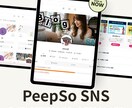 PeepSoでSNS構築を格安・最速サポートします ワードプレス初心者OK！業界最安値＆即レスでSNS化を実現 イメージ1