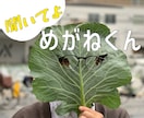 恋愛相談から禁断の話まで、こっそり聞かせて頂きます バー店員によるオンライン立ち呑み｢めがねくん｣ イメージ1