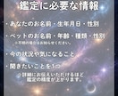 大切なペットの問題行動の理由、霊視します 話せないあの子の気持ちを知りたいあなたへ イメージ3