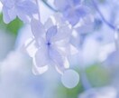 あなたのお話なんでも聞きます 不安な事がある方、誰でもいいから話を聞いて欲しい方に！ イメージ1