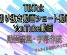 Tiktok,YouTube動画編集承ります 誤字脱字が無い様に丁寧に作業致します。 イメージ1