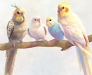 かわいいインコのイラストを描きます インコなどの鳥さんのリアルな絵を作りたい方に イメージ3