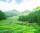 素敵な写真をもっと素敵にするサポートをします 貴方の思い出の写真をレタッチで更に魅力的に！ イメージ2