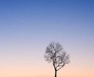 誰にも言えない愚痴や悩み、否定せずゆっくり聞きます 答えを出さなくて大丈夫。ただ話したい気持ちに寄り添います。 イメージ8