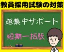 教員採用試験（教採）面接・小論文・ES等対策します ✨【ご契約版（短期一括）】直前対策などもオーダーメイドで❗️ イメージ1