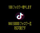 TikTok投稿の再生数+5万再生増加・拡散します 多国籍且つ質の高いフォロワーで30日間減少保証をお約束します イメージ5