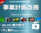 事業計画資料を評価・コメント、改善策を提案します ベンチャーキャピタル出身者が投資家・銀行側の視点でアドバイス イメージ1