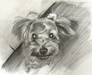 写真を元に、あなただけの思い出の絵を描きます 部屋や会社の雰囲気をよくするための装飾品としておすすめです✨ イメージ6
