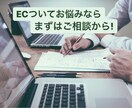 ECでお悩みなら、まずはご相談から承ります 楽天 Yahoo Amazon などのモールに対応可能！ イメージ1