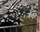 低音ボイスでのナレーションや声のお仕事請け合います 放送部出身の声で魅せる！ナレーション・朗読・キャラボイス！ イメージ5