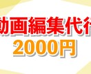 あなたのYoutubeの動画編集をします 低価格・丁寧で迅速、安心の動画編集を。 イメージ1
