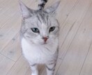 問い合わせください♪困ったこと解決します ココナラのなんでも屋・代行屋さん◎ジャンル問わず引き受けます イメージ3