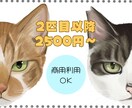 リアルかわいい猫ちゃんの正面似顔絵を描きます アイコンや記念日、愛猫との思い出を残したい方に イメージ1