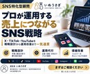 ココナラ店OPEN記念割引。プロがSNS顧問します 貴社の全てのSNSアカウントを総合的に運用します。 イメージ1