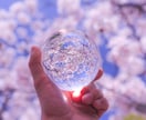 ワクワク開運おみくじ鑑定します お好きな月から、3ヶ月運勢ざっくりチェック☆ イメージ1