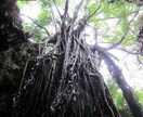 【存在色透視】何もかもうまくいかない原因をあなた自身の色から診断いたします。 イメージ2