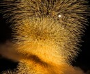 あなたの撮影した写真を編集します 周りと差が着くひと工夫!あなたの写真をワンランクアップ!! イメージ5