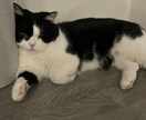お金を出してまで本当に聞いて欲しい人だけお願います 貴方がお金を出してまで話したいこと教えてください見積もり可能 イメージ2