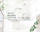 帰国子女が翻訳します。スピーディーに納品します 最安値1文字５円！！英語/ドイツ語/中国語対応可能です イメージ4