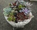 植物の画像を見ながらアドバイスします リアルタイムの植物の画像を見ながら、アドバイスを致します。 イメージ1