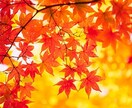 看護師さんは怖くない!!お話なんでもお聴きします いつも貴方の味方です♥気持ちを吐き出し幸せな日を送りましょう イメージ3