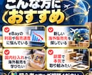 完全版！eBayより稼げた海外販売サポートします eBayより稼げた！海外販売サポートします。の完全版です。 イメージ4