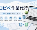 コツコツ作業が得意です！コピペ作業を代行します 面倒な単純作業を丁寧・正確に代行いたします イメージ1