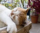 さみしい。誰かとお話したいとき。お話相手になります １分から。どんなお話でも大丈夫です。 イメージ6