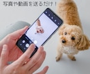 家族（ペット）の思い出をストーリー動画に仕上げます 昔の写真もOK｜プレゼントにも イメージ3