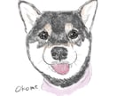 ペットの似顔絵描きます 色鉛筆画風のデジタルイラストです。 イメージ2