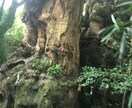 脇見恐怖症、相談乗ります 数年前まで脇見恐怖症でしたが克服することができました イメージ4